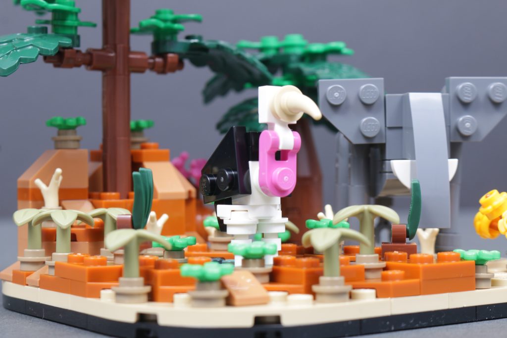 LEGO 40784 African Savanna Diorama GWP review 6 1024x683