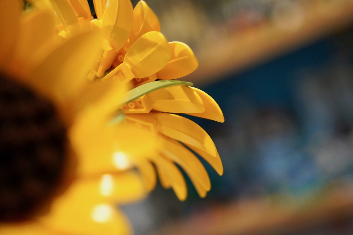 LEGO Botanicals 11502 Sunflower Bouquet review 15 1200x800