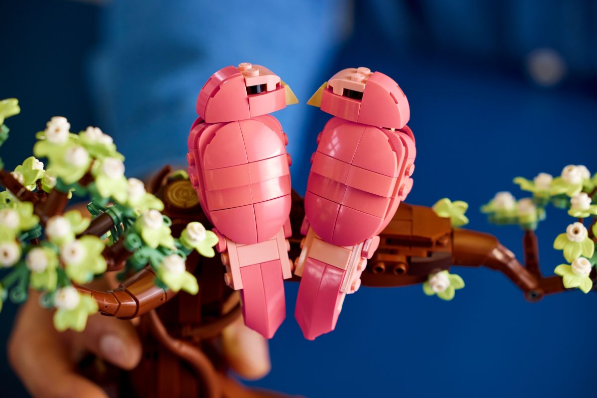 LEGO Ideas 21365 Love Birds 11 1200x801